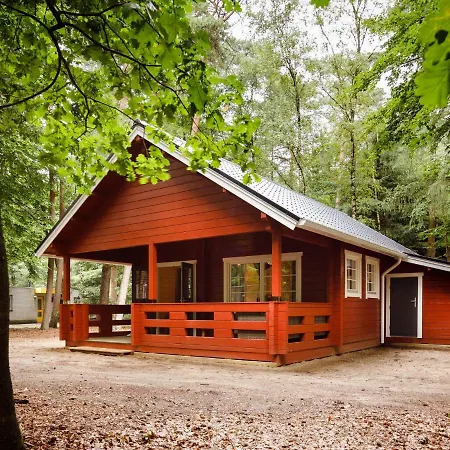 Cozy, Wooden With A Veranda, Located In The Veluwe